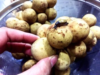 Close-up of hand holding fruits
