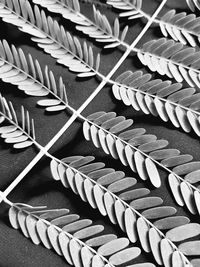 High angle view of tree leaf on table in silver chrome 