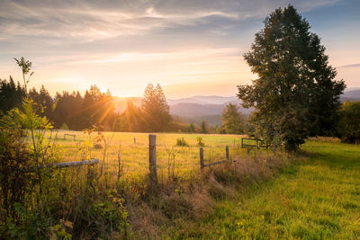 Scenic view of field against sky during sunset