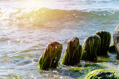 Scenic view of sea against rocks