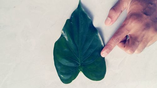 High angle view of man hand