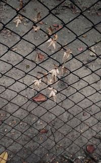 chainlink fence