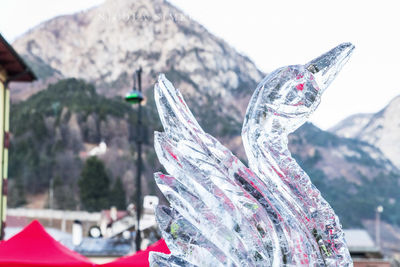 Close-up of human hand on snow covered mountain