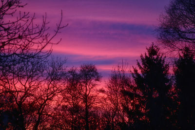 Silhouette trees against dramatic sky during sunset