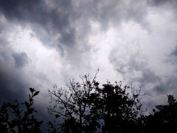 Low angle view of silhouette tree against sky