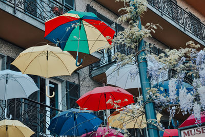 umbrella