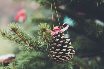 Handmade natural pine cone decoration on christmas tree. diy ideas for children. environment, reuse