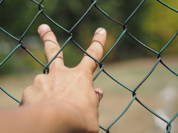 Close-up of hand holding chainlink fence