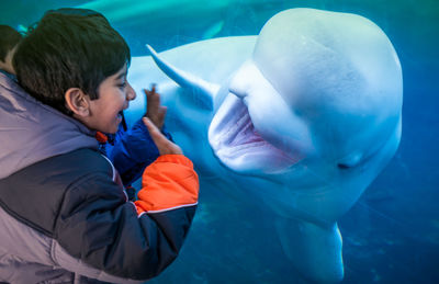 Boys smiling while looking at beluga whale