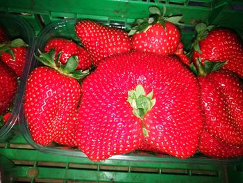 Close-up of strawberries for sale in market