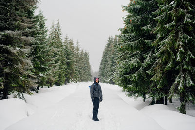 Rear view of person standing on snow covered trees