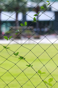 Full frame shot of chainlink fence