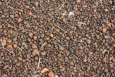 Full frame shot of pebbles