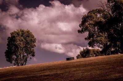Scenic view of field against cloudy sky
