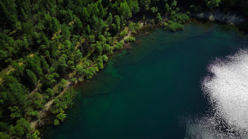 Drone shot of lake and forest
