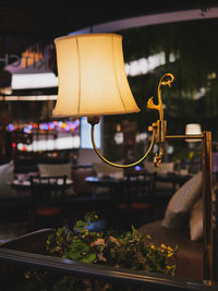 Close-up of illuminated lamp and potted plant