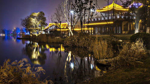 Reflection of trees in lake at night