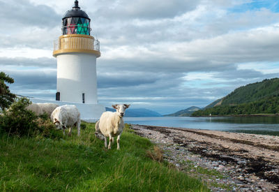 View of lighthouse on landscape against sky