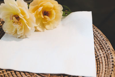 High angle view of white rose on table