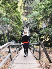 Rear view of woman standing on footbridge in forest