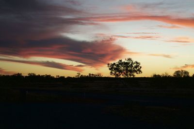 Silhouette trees on field against sky at sunset