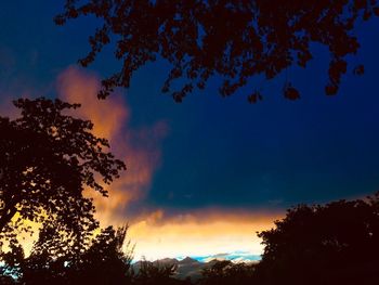 Low angle view of silhouette trees against sky at sunset