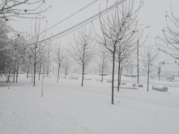 Bare trees on snow covered field against sky