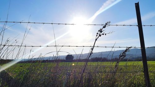 Fence on grassy field