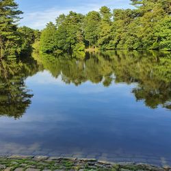 Scenic view of lake by trees against sky