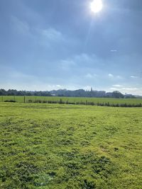 Scenic view of field against sky
