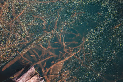 Full frame shot of illuminated sky