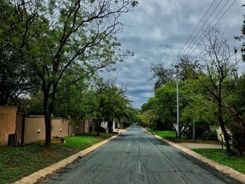 Road amidst trees against sky