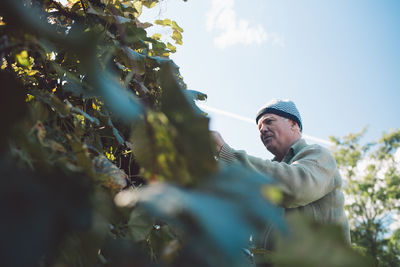 Low angle view of man looking away against sky