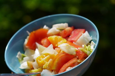 Close-up of meal served in bowl