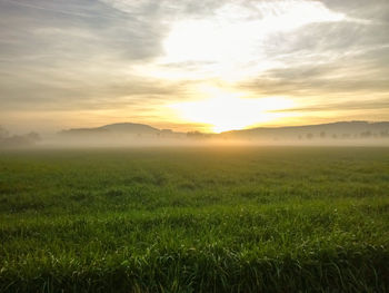 Scenic view of field against sky during sunset