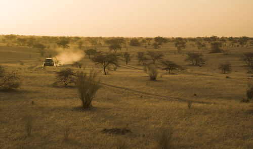 Scenic view of car driving through sahara desert mali