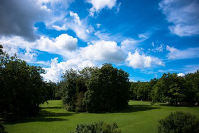 Scenic view of trees on field against sky