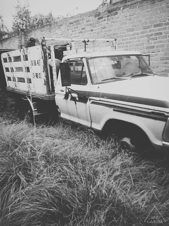 transportation, mode of transport, building exterior, land vehicle, built structure, architecture, abandoned, car, obsolete, house, day, damaged, old, grass, outdoors, window, no people, sunlight, stationary, plant