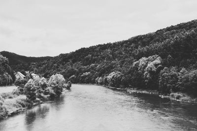 Scenic view of lake by trees against sky