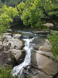 Stream flowing through rocks in forest