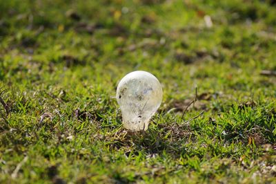 Close-up of a ball on field