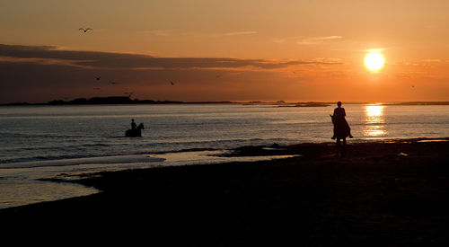 Silhouette of horses and riders on beach at sunset