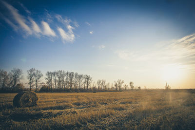 Scenic view of field against sky