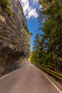 Road amidst trees against sky