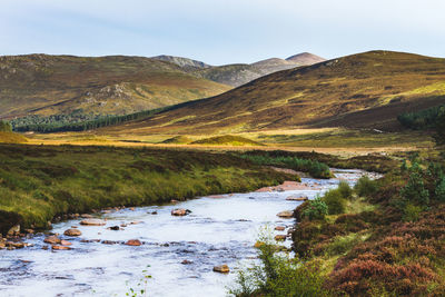 Scenic view of river against sky