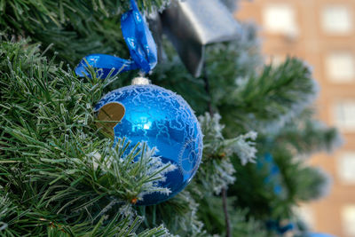 Close-up of blue christmas tree