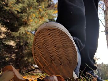 Low section of man wearing basket