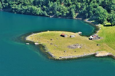 High angle view of lake amidst trees