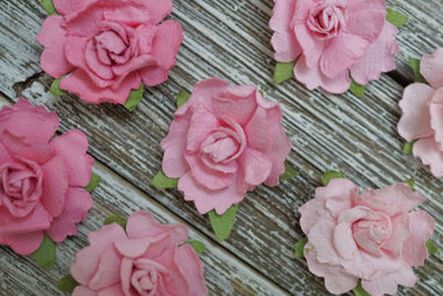 High angle view of pink roses