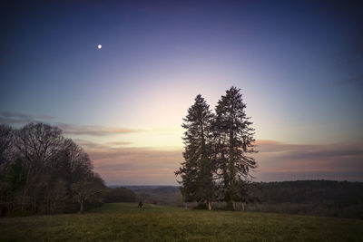 Trees on field against sky during sunset